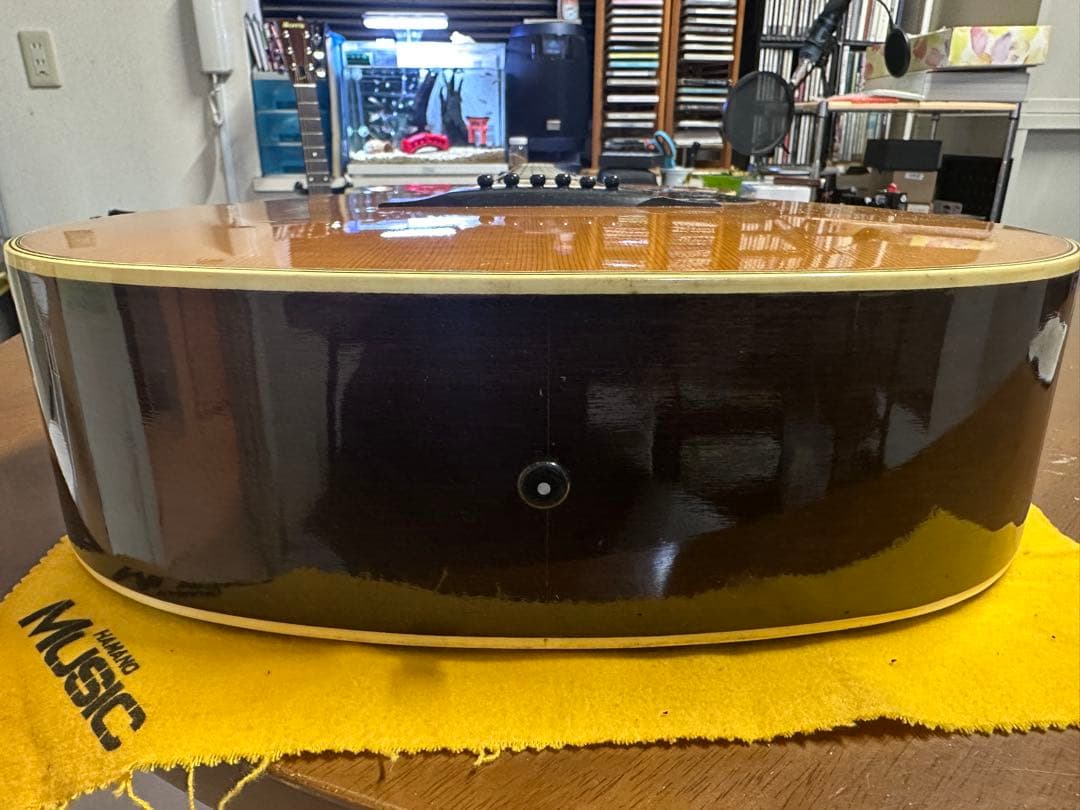 Morris(モーリス) F-20 King Gnu 常田大希氏使用モ