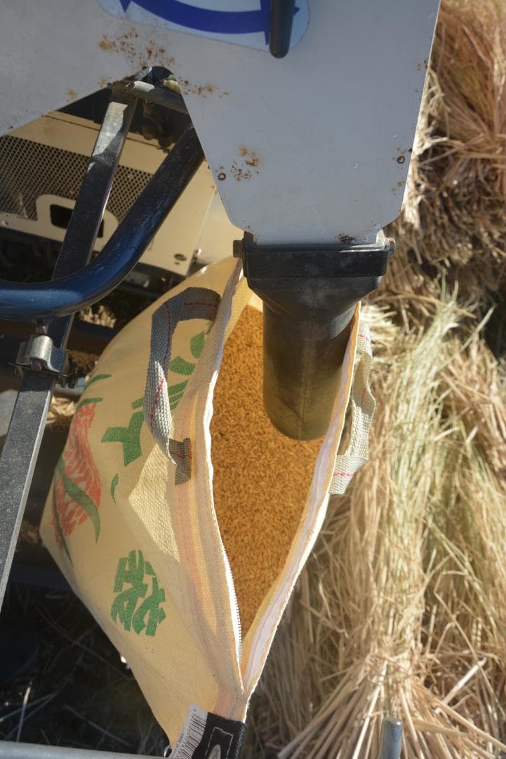 2025年朝日米10kg玄米　たけ爺ブランド米 栽培期間中無化学肥料・無農薬栽培