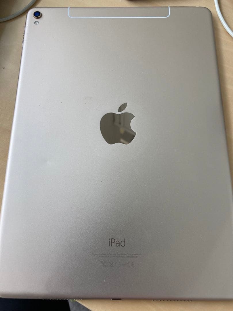 iPad本体 iPad Pro 9.7 256GB