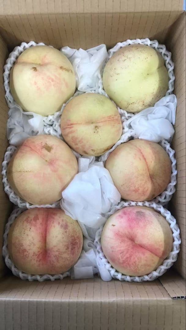 825福島產希少品種シーエクス硬桃箱込み10kg訳あり家庭用玉数お任せクール便