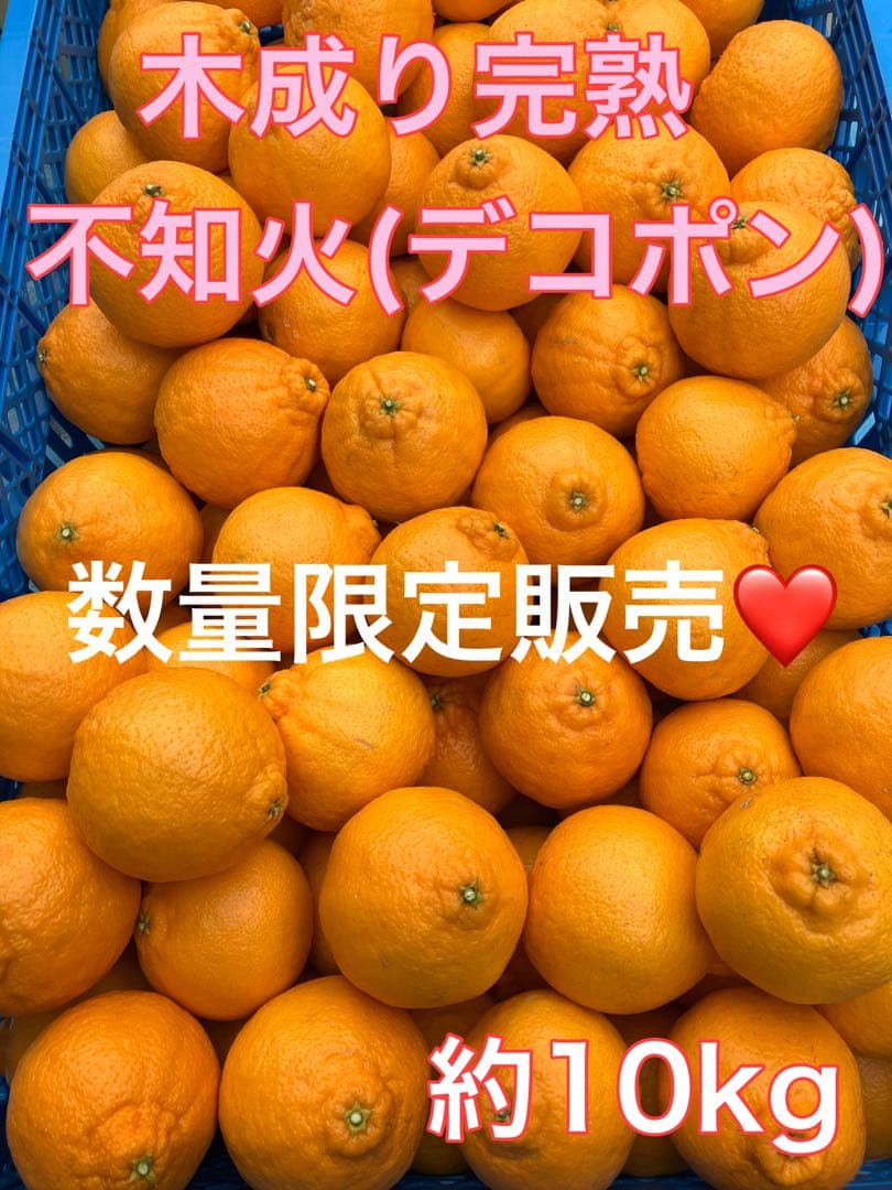 木成り完熟不知火(デコポン)農家直送♡10kg