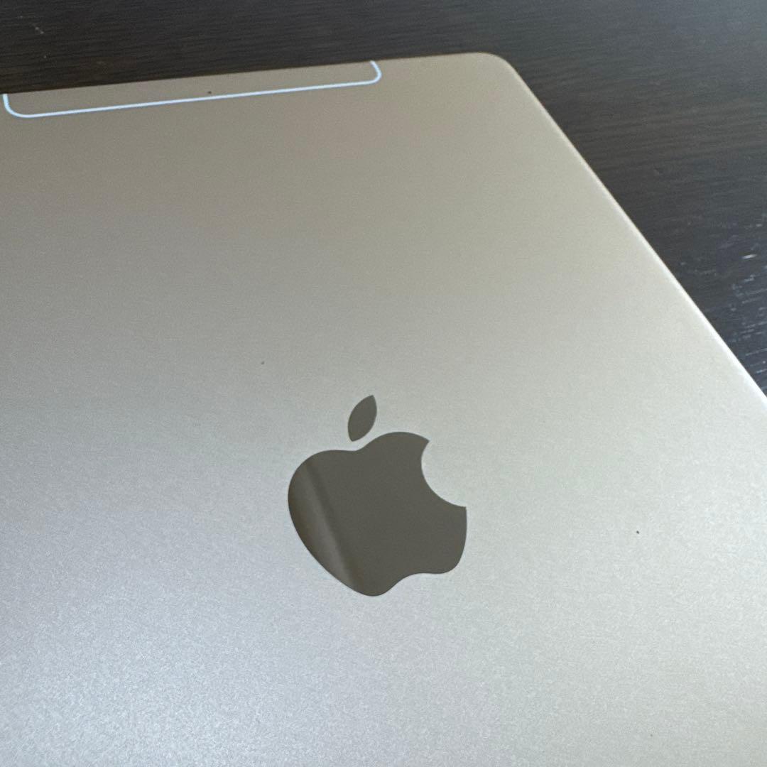 iPad Pro 10.5インチ Cellularモデル (docomo)