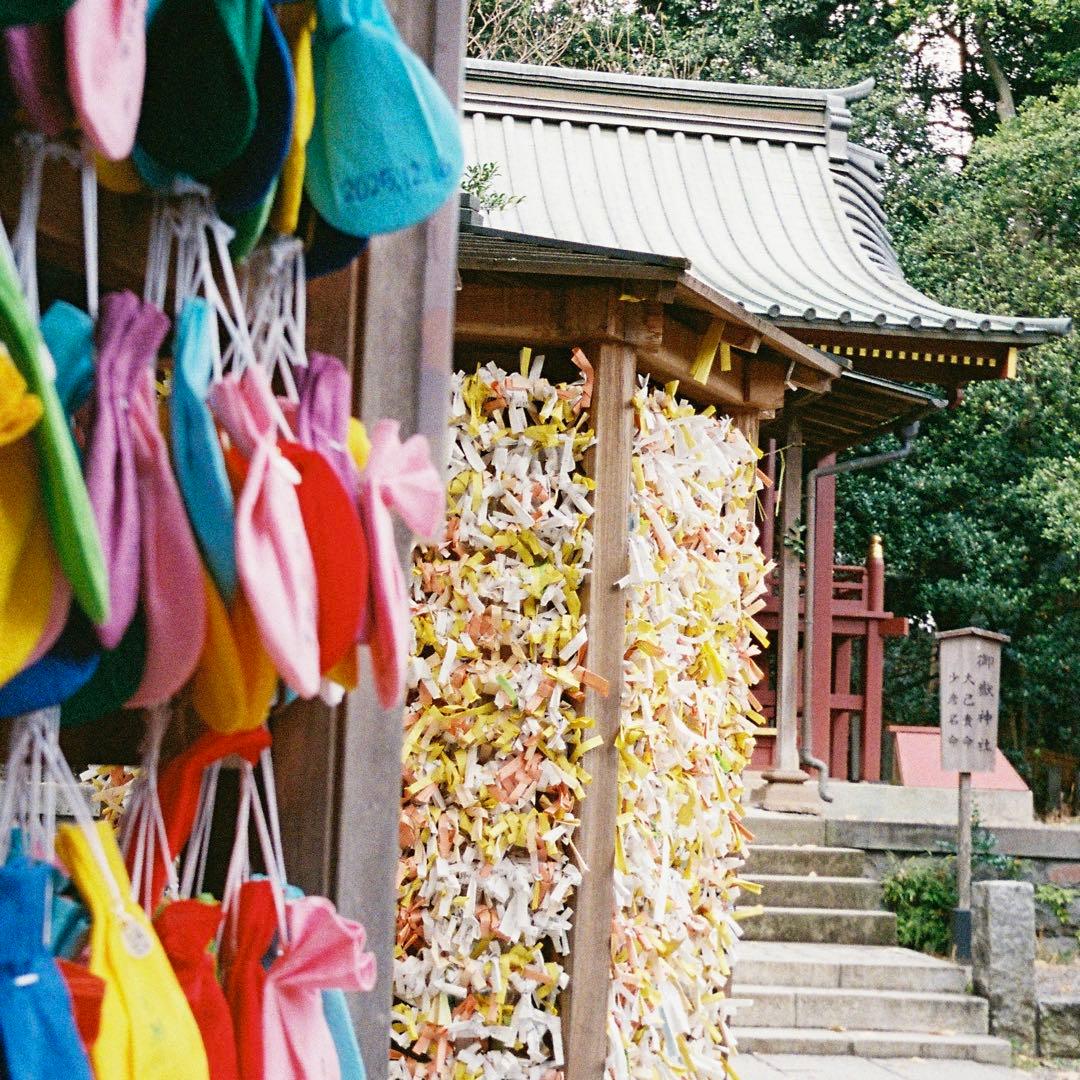 【作例あり】OLYMPUS PEN EE-3コンパクトフィルムカメラ