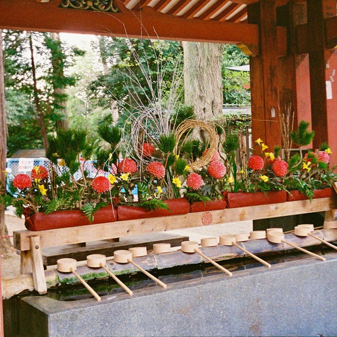 【作例あり】OLYMPUS PEN EE-3コンパクトフィルムカメラ