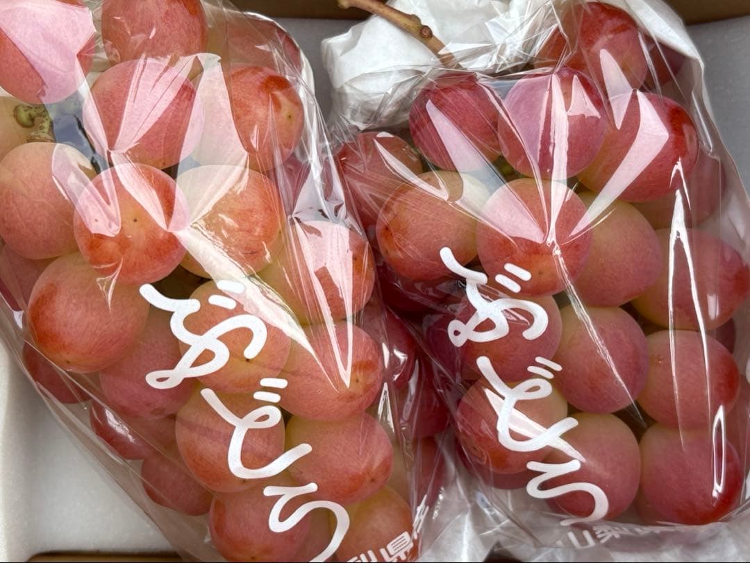 本日最終【山梨オリジナル新品種】農家直送サンシャインレッド2房1kg以上優秀品