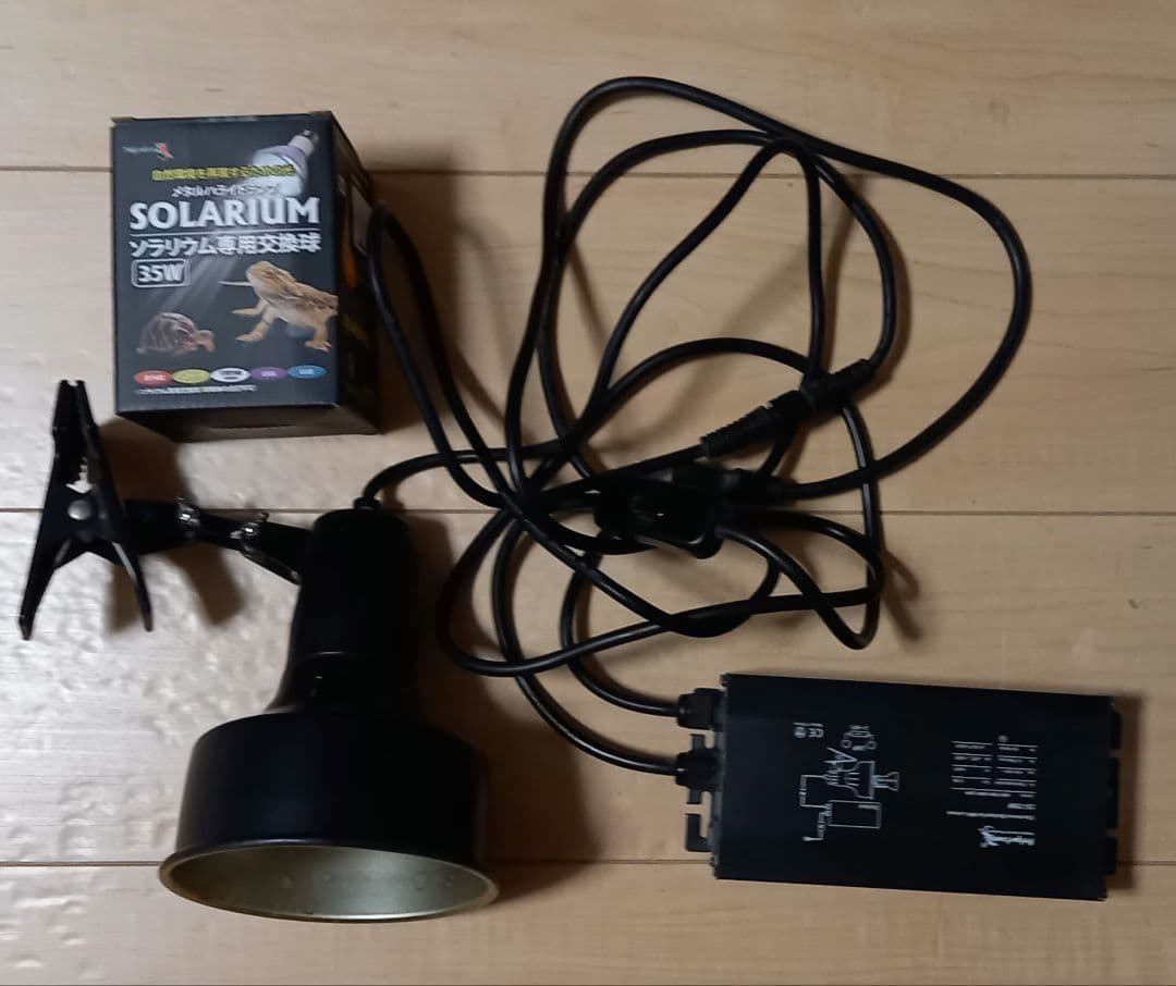 ソラリウム　メタハラ