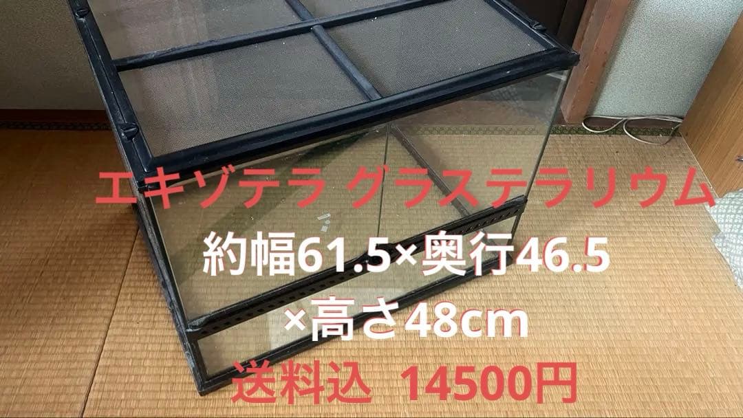 ガラス製 爬虫類 両生類 飼育ケージ エキゾテラ グラステラリウム 6045