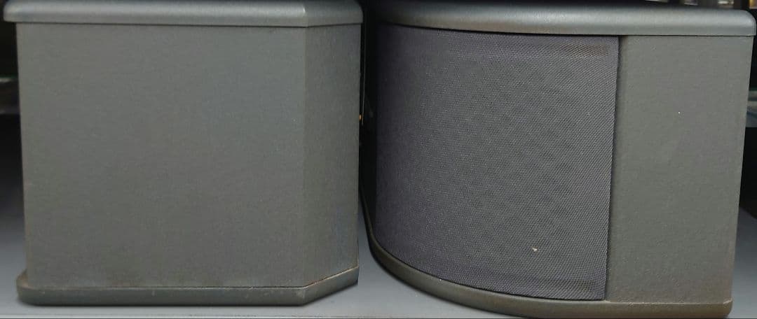 ■■【レア】BOSE 300PM LOUDSPEAKER スピーカー・ペア