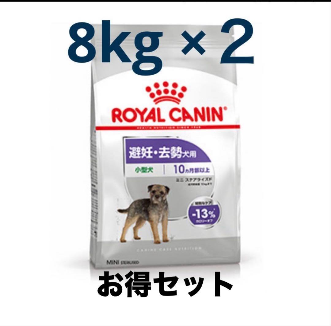  CANIN ミニステアライズド　避妊去勢犬用 8kg×2