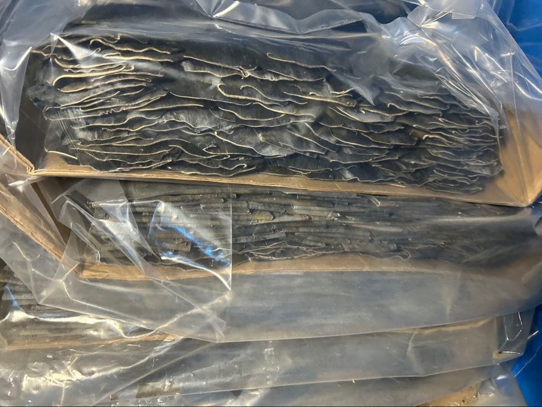 旧南茅部産 真昆布 最高級銘柄 2年育成の希少品