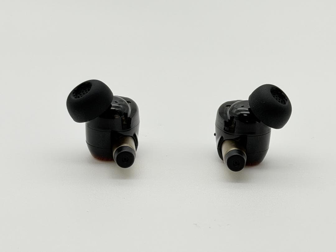 Victor WOOD master 完全ワイヤレスイヤホン