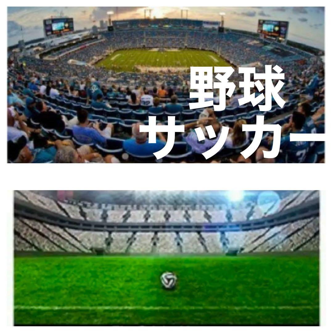 Canon一眼レフ用望遠レンズ！サードパーティ製！初心者でもOK！サポートします