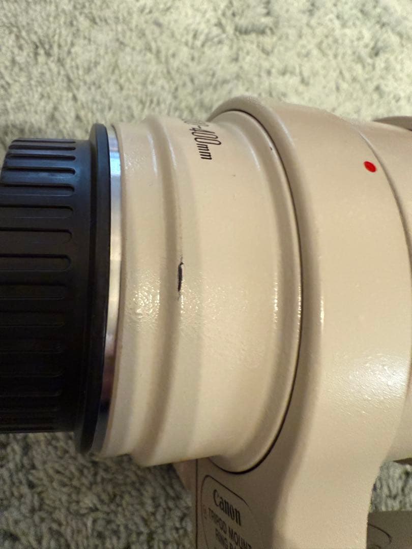 チ*中様 Canon EF 100-400mm f/4.5-5.6L IS US