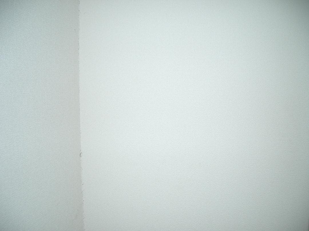 カシオ EXILIM EX-Z3 オールドコンデジ デジカメ バッテリー2個付き