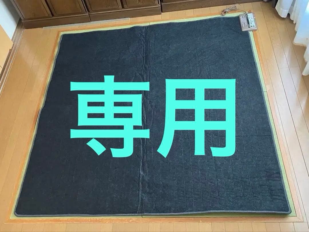 あいりす☆2022年製Panasonic 着せ替えカーペット 2畳相当