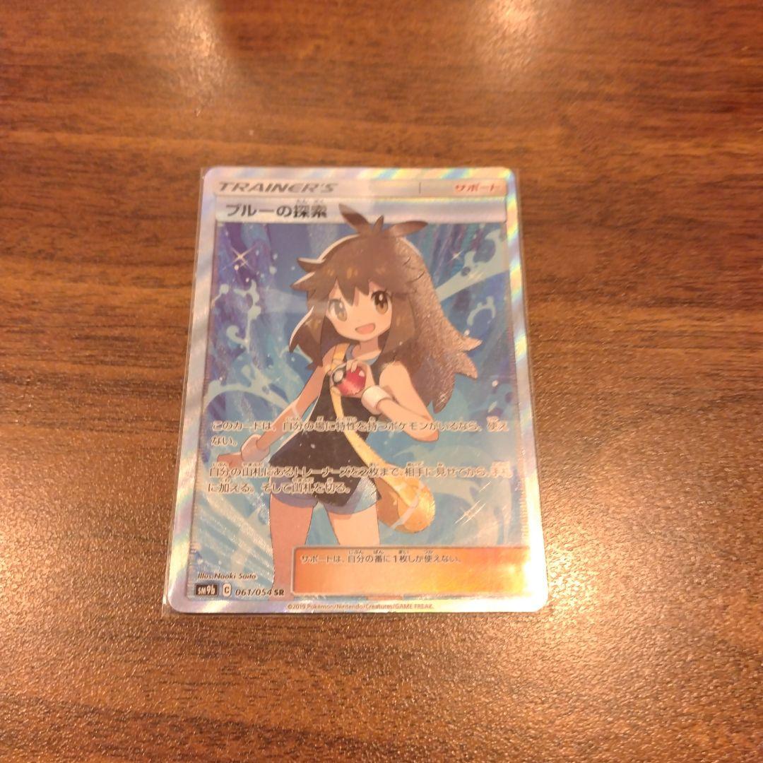 【即購入OK】ブルーの探索 SR SM9b フルメタルウォール