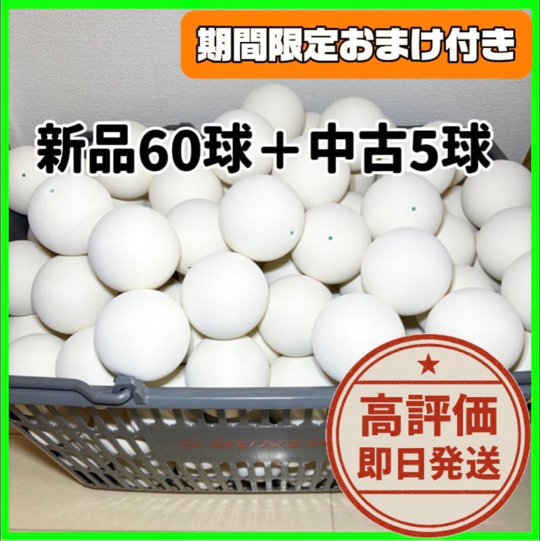 【早い者勝ち】ソフトテニス ボール 60球 新品