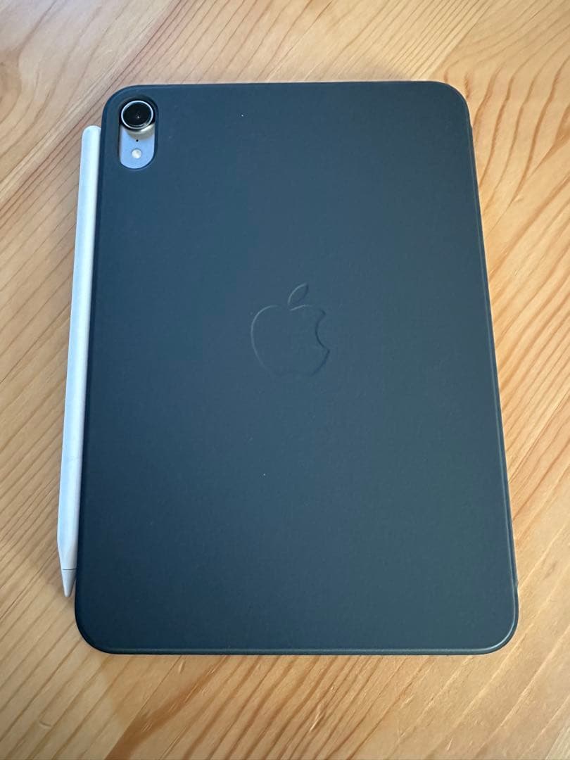 iPad本体 iPad mini 128GB