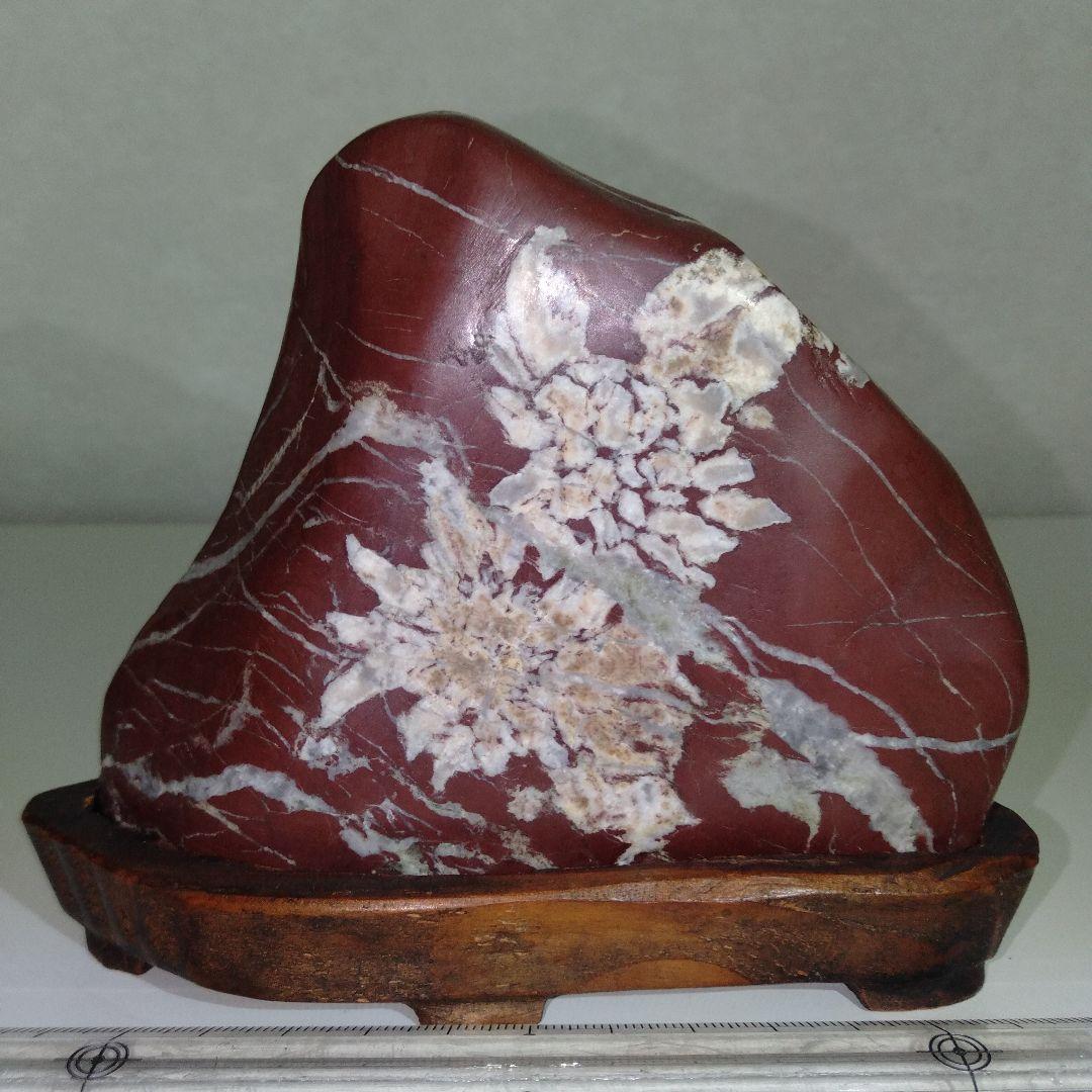 菊花石　水石　エーデルワイス　美麗台付き１個