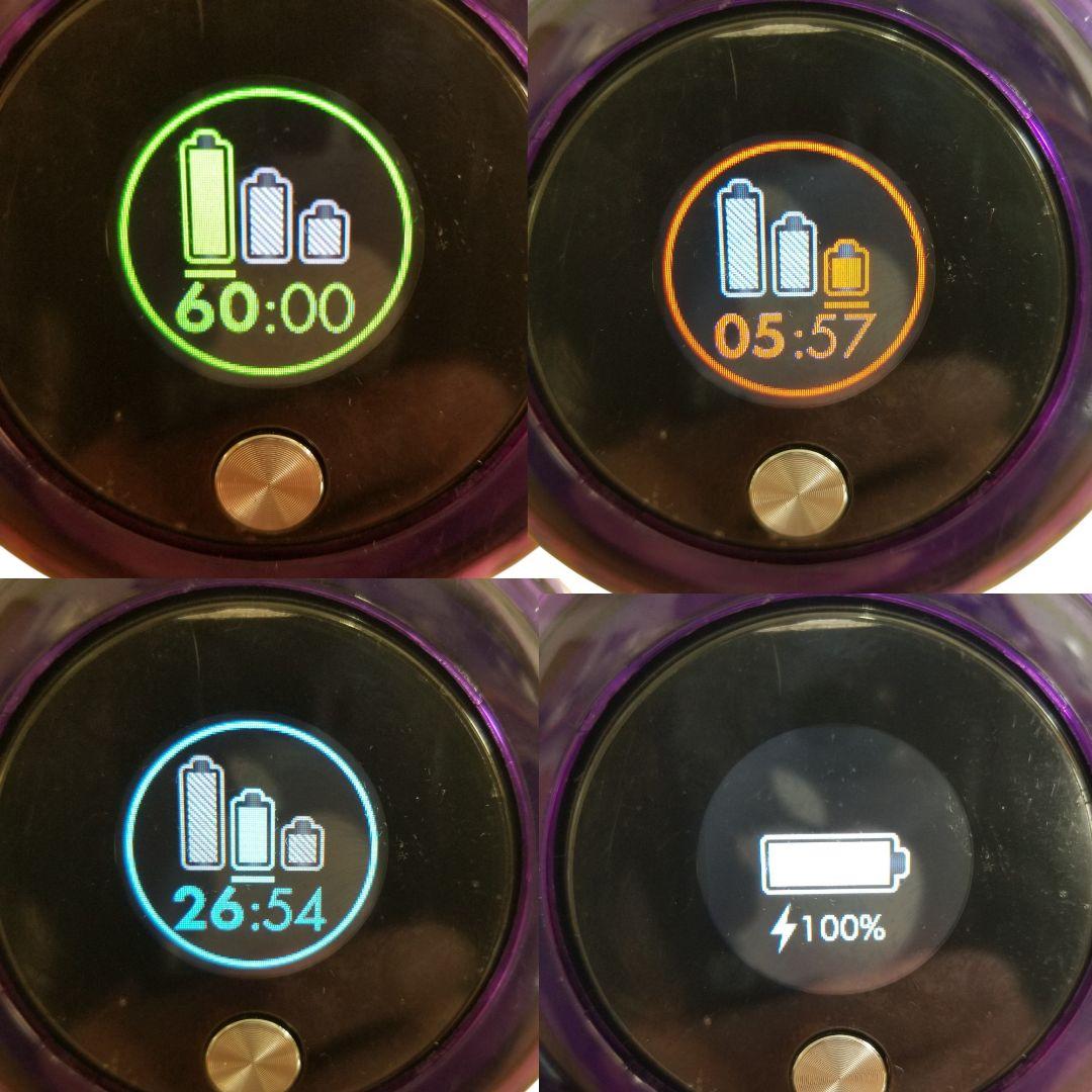 ダイソン掃除機　V11(SV14)分解洗浄メンテナンス済　ゴールド