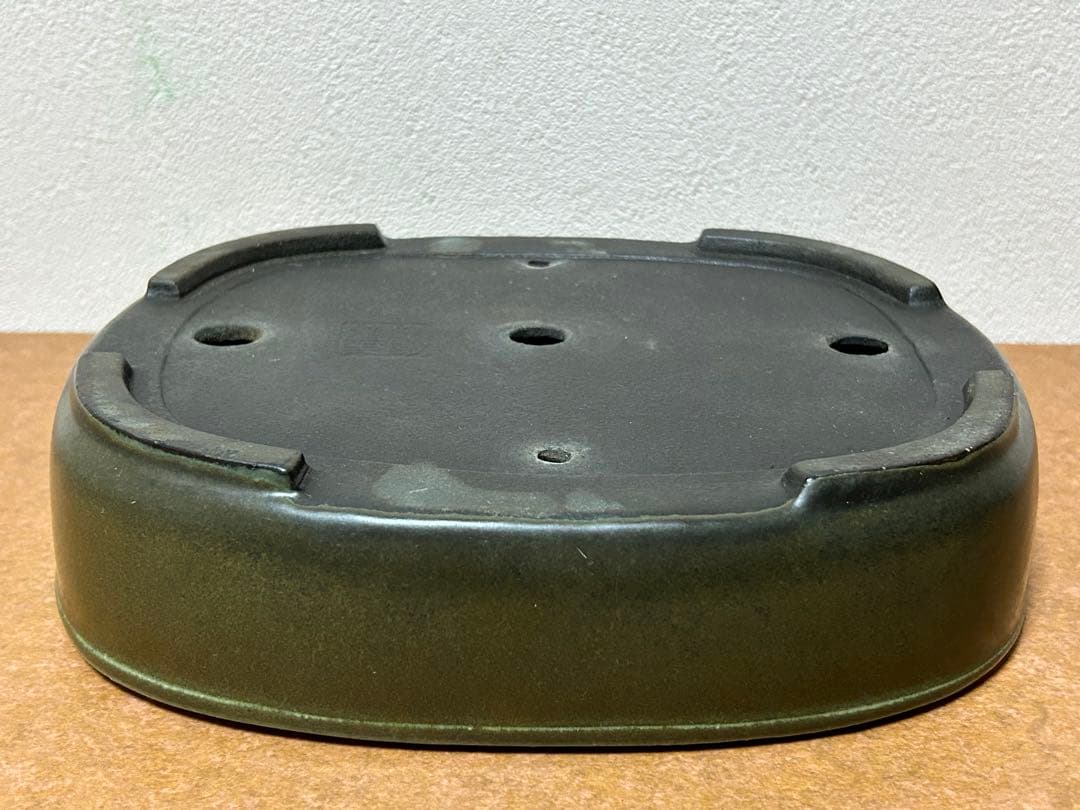 鴻陽　盆栽鉢　小品盆栽　山野草