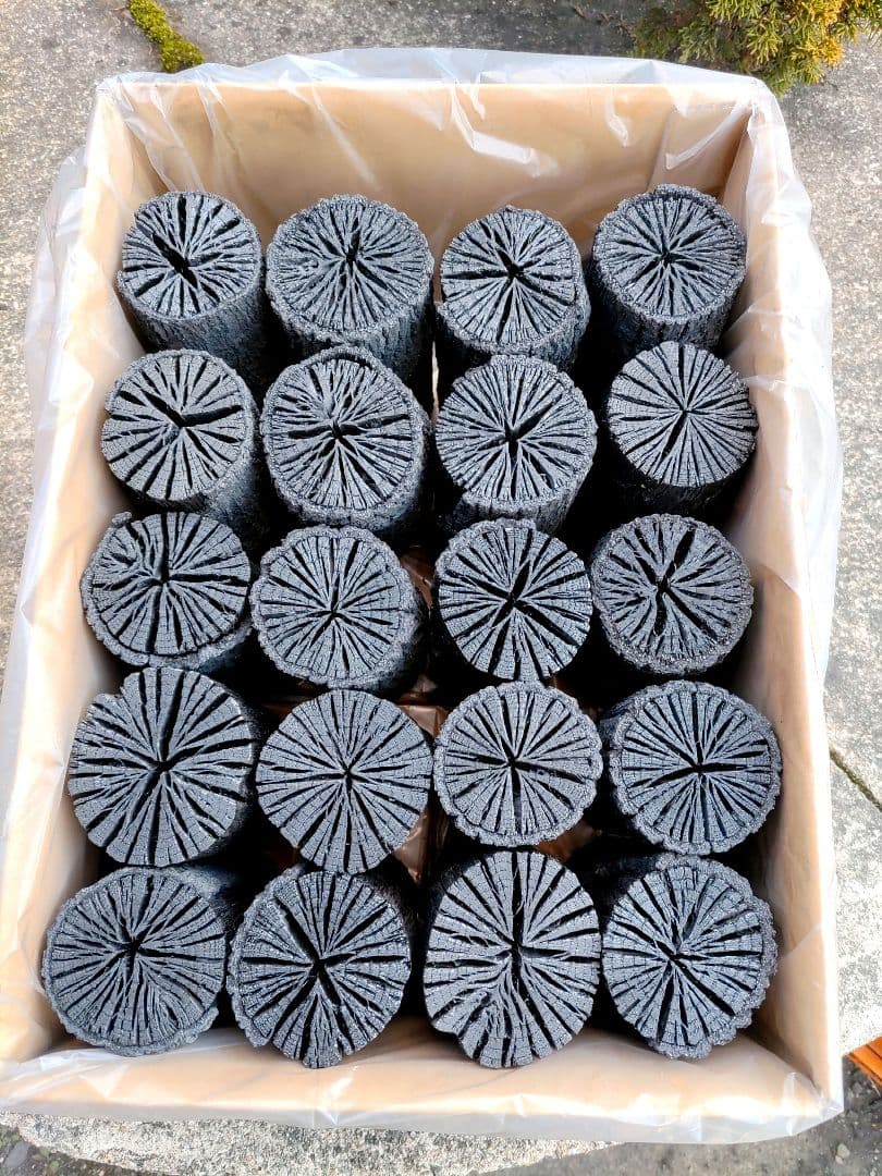 【愛媛産】クヌギ炉用胴炭約5kg 皮剥がれ