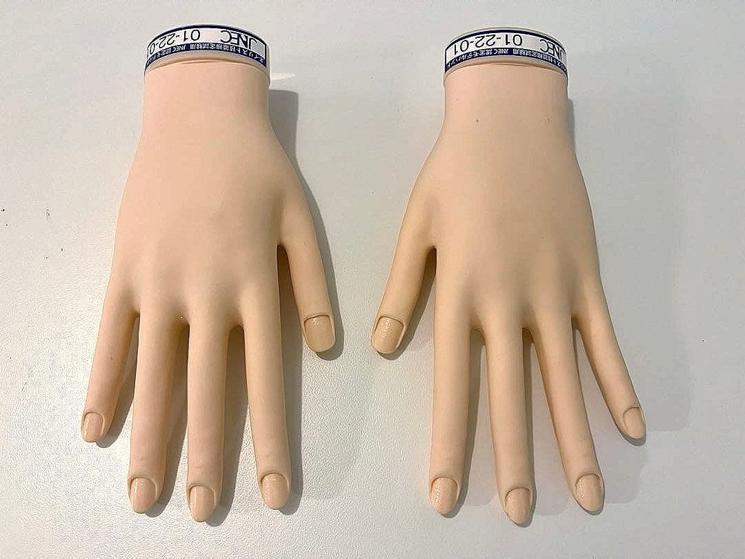 JNEC ネイリスト技能検定試験用 認定モデルハンド　使用1度のみ 骨折なし