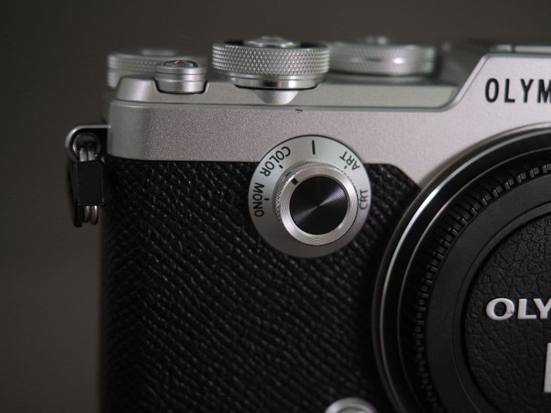 おまけ多数】OLYMPUS PEN-F シャッター回数少 充電池4個 革ケース