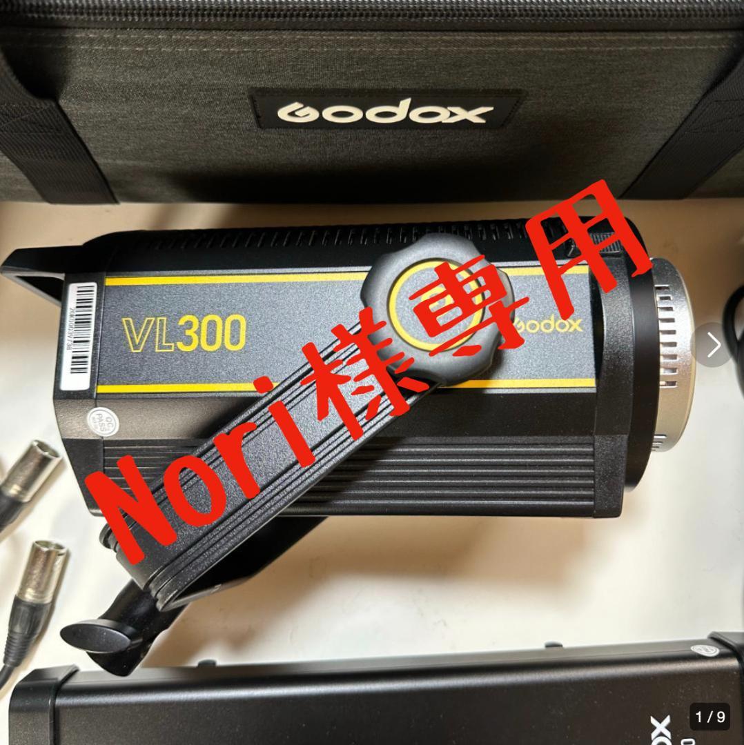 GODOX VL300 撮影ライト
