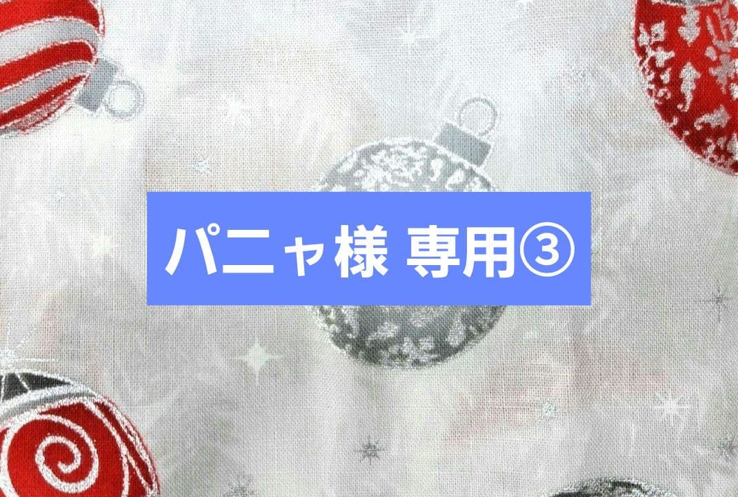 パニャ③トートバッグ、ウォールポケット、サコッシュ