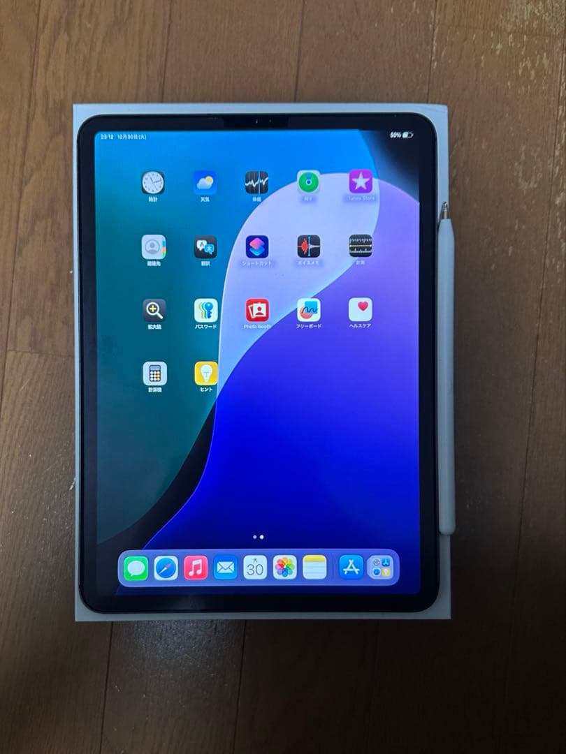 【iPad Pro 11インチ 第1世代 256GB セルラーモデル