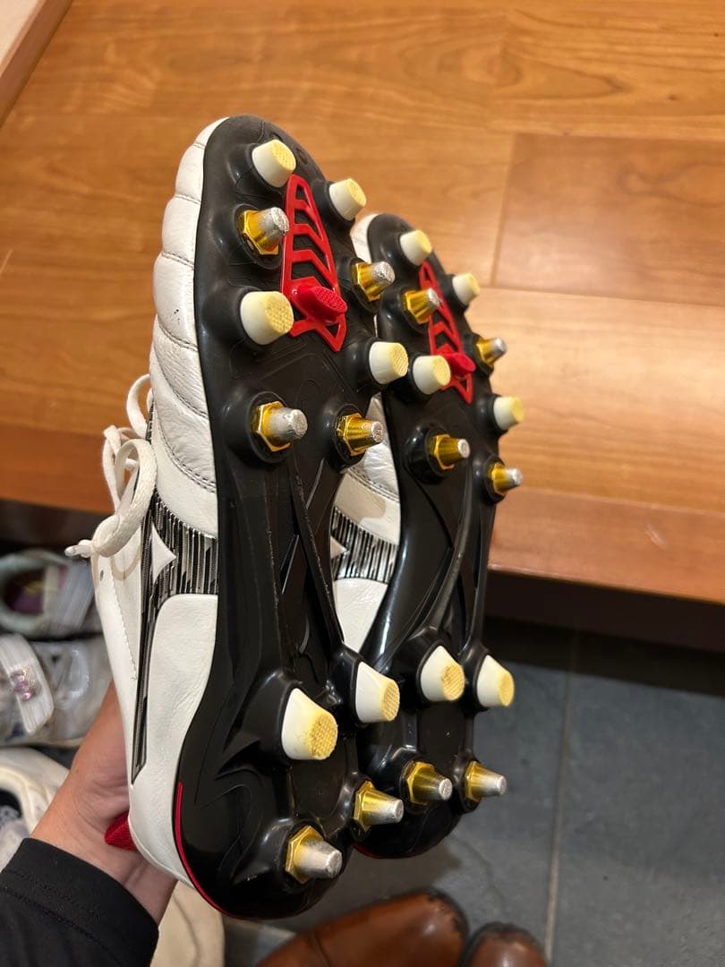 モレリアネオ　sg