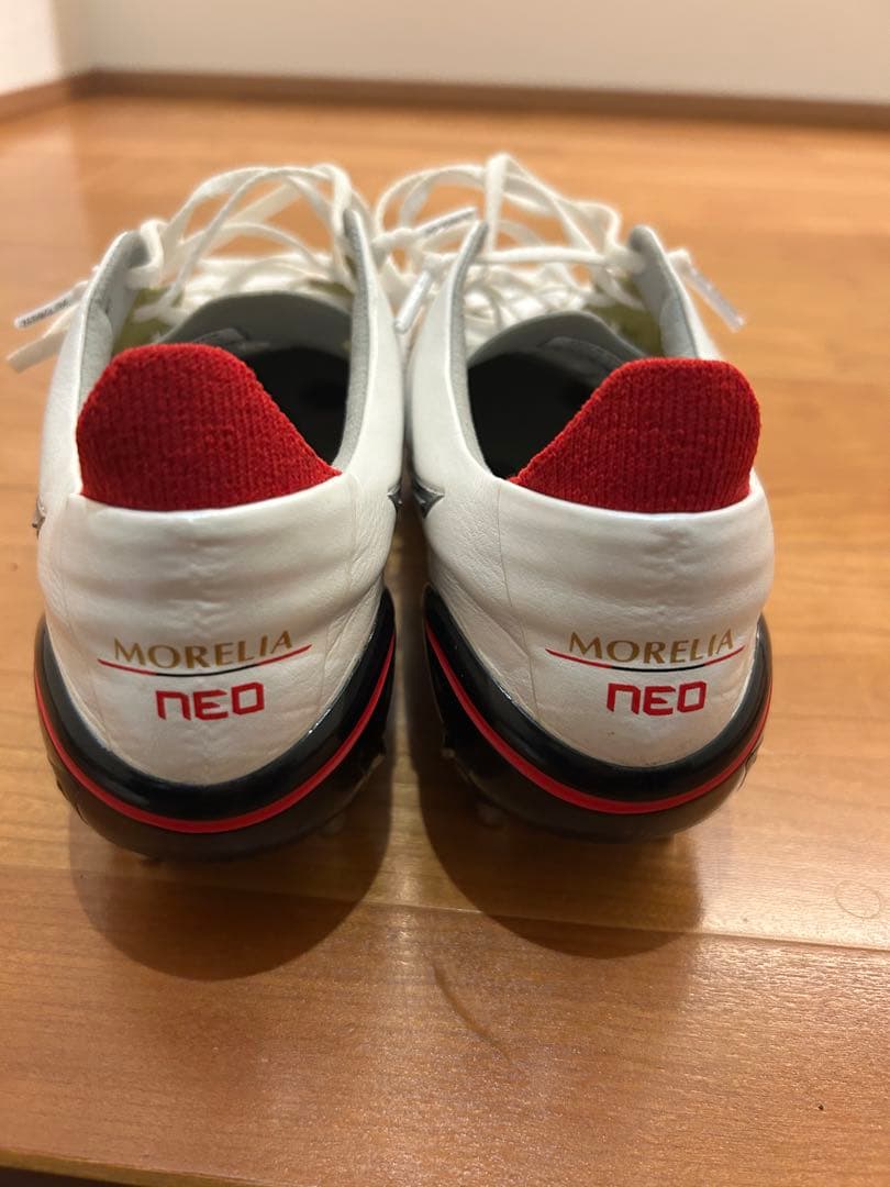 モレリアネオ　sg