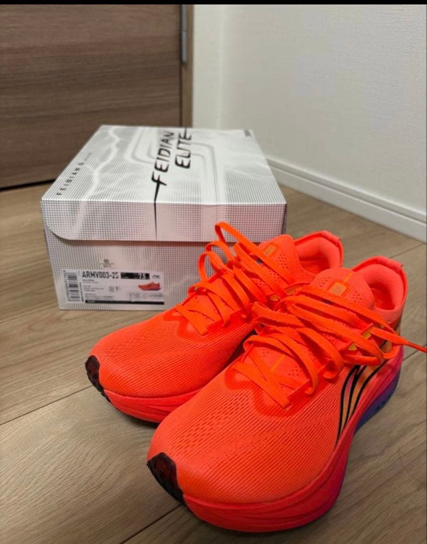 Li-Ning Feidian 5.0 Elite リーニン　25cm6km使用