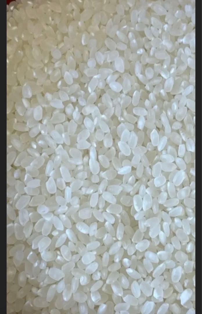 令和7年産　新米　大分県産コシヒカリ　白米27㎏　資材重量込みお米30㎏キロ以内