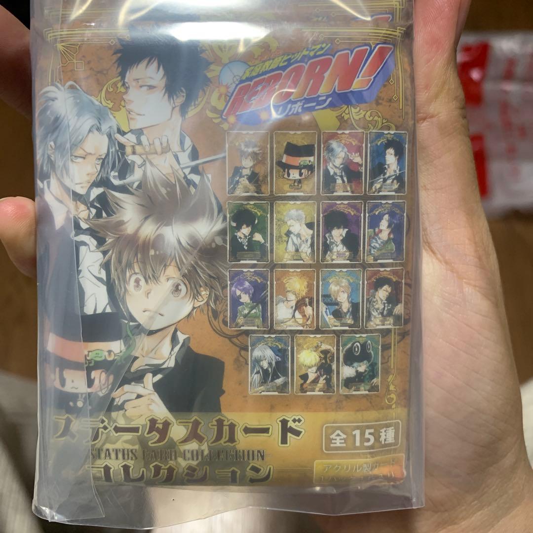 家庭教師ヒットマン REBORN ステータスカード 15点セット×10