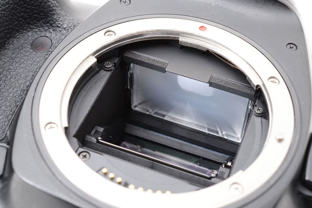 保証/キャノン/Canon EOS 5D Mark IV標準&望遠レンズセット