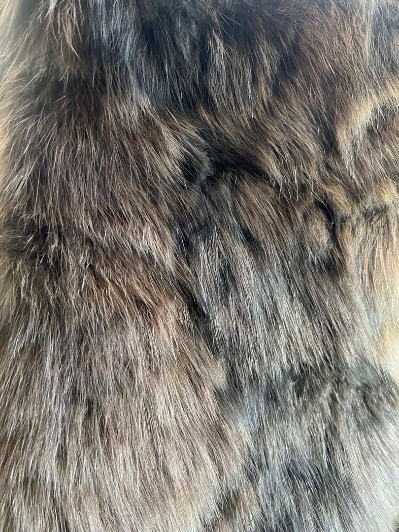 フェンディ　セーブルコート