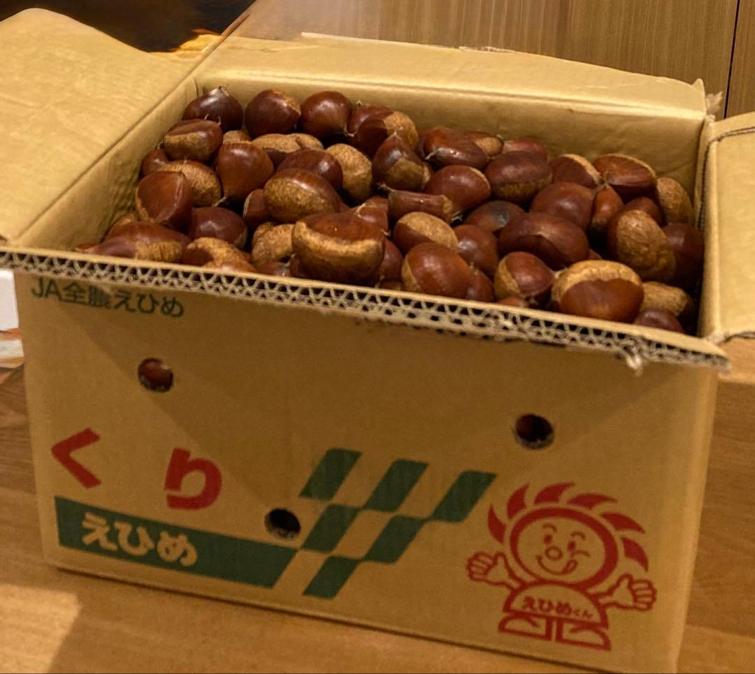 幻の栗⭐︎中山栗2L~4L混合10kgクール便（匿名不可）農家直送2025-014