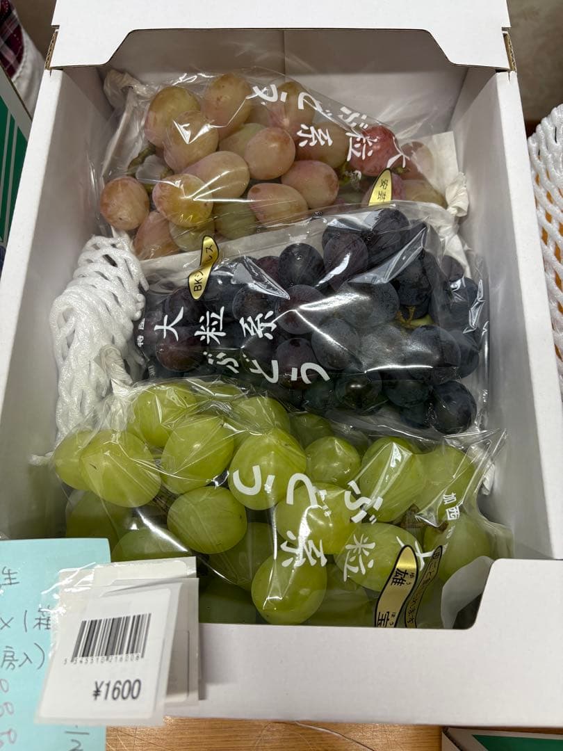 ラビアンローズ