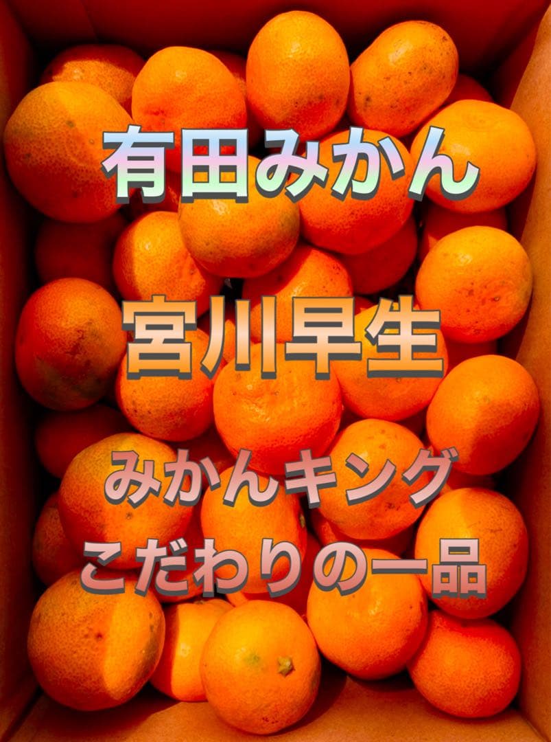 専用出品　むにゅ❁¨̮様5kg2箱