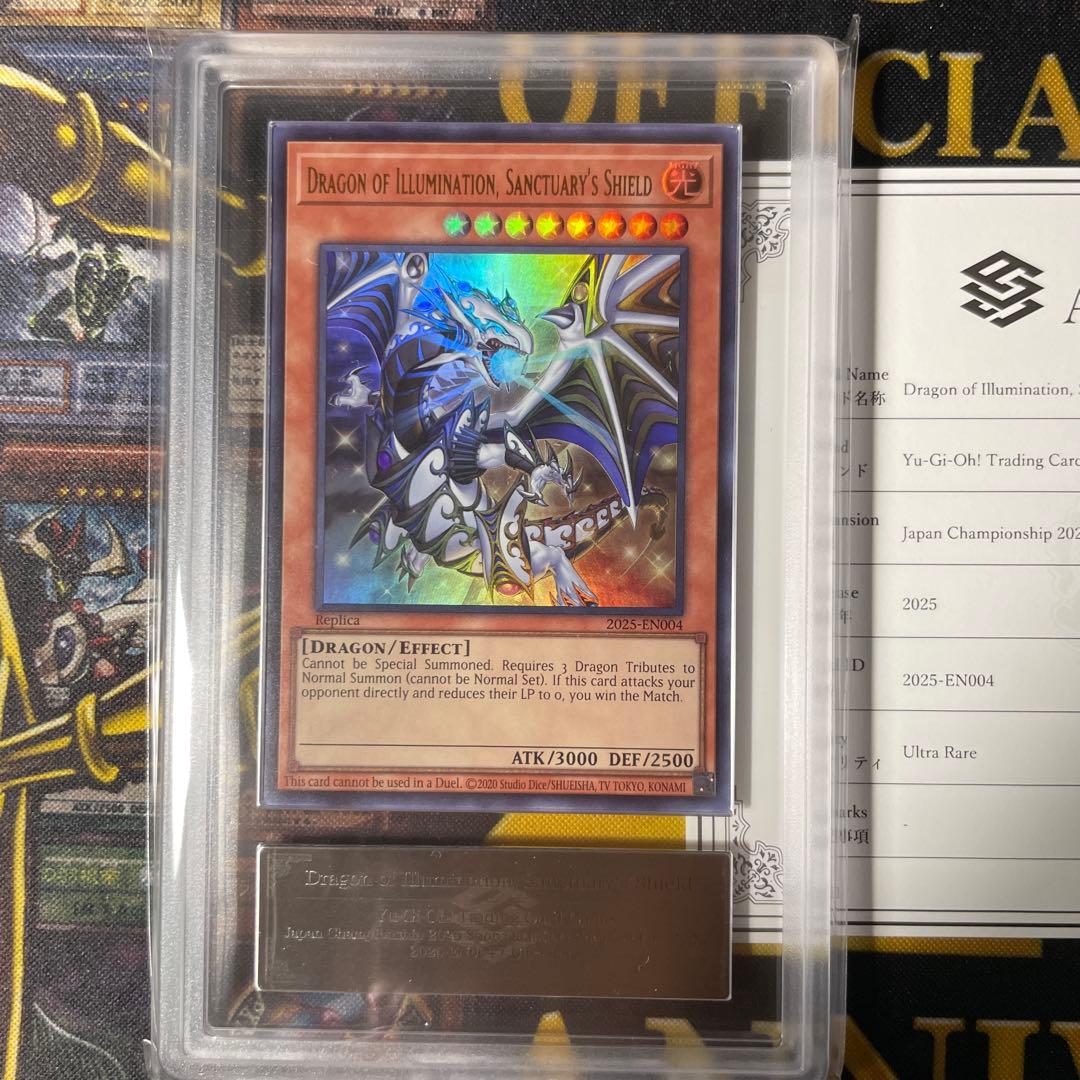 【ARS10】Dragon of Illumination 日本選手権