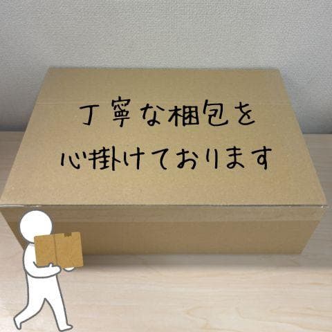 【新機種·15.6インチHD大画面】Surfola ポータブルDVDプレーヤーp