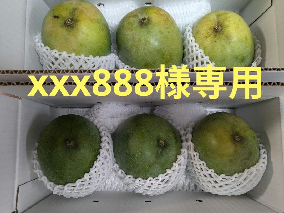 キーツマンゴー6個入り