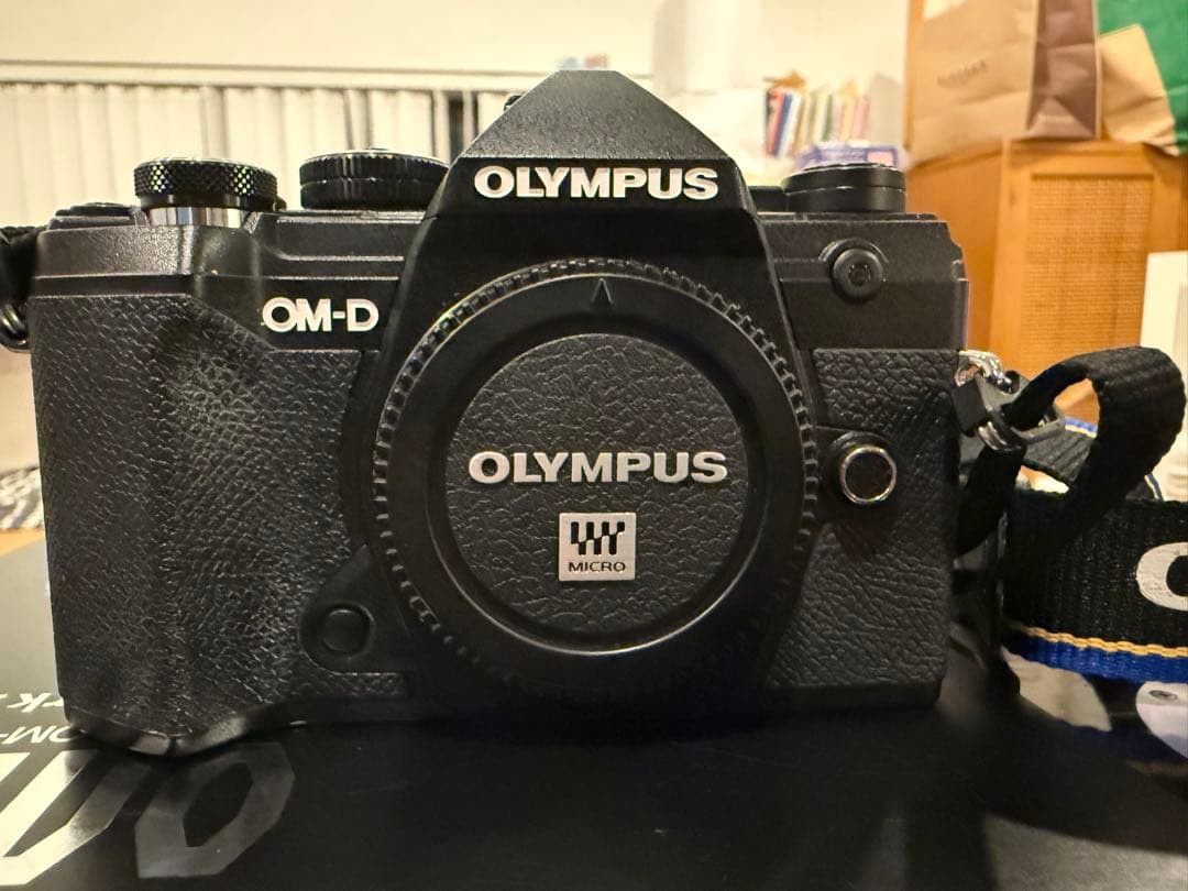 オリンパス　OLYMPUS OM-D E-M5 Mark III 美品 ボディ