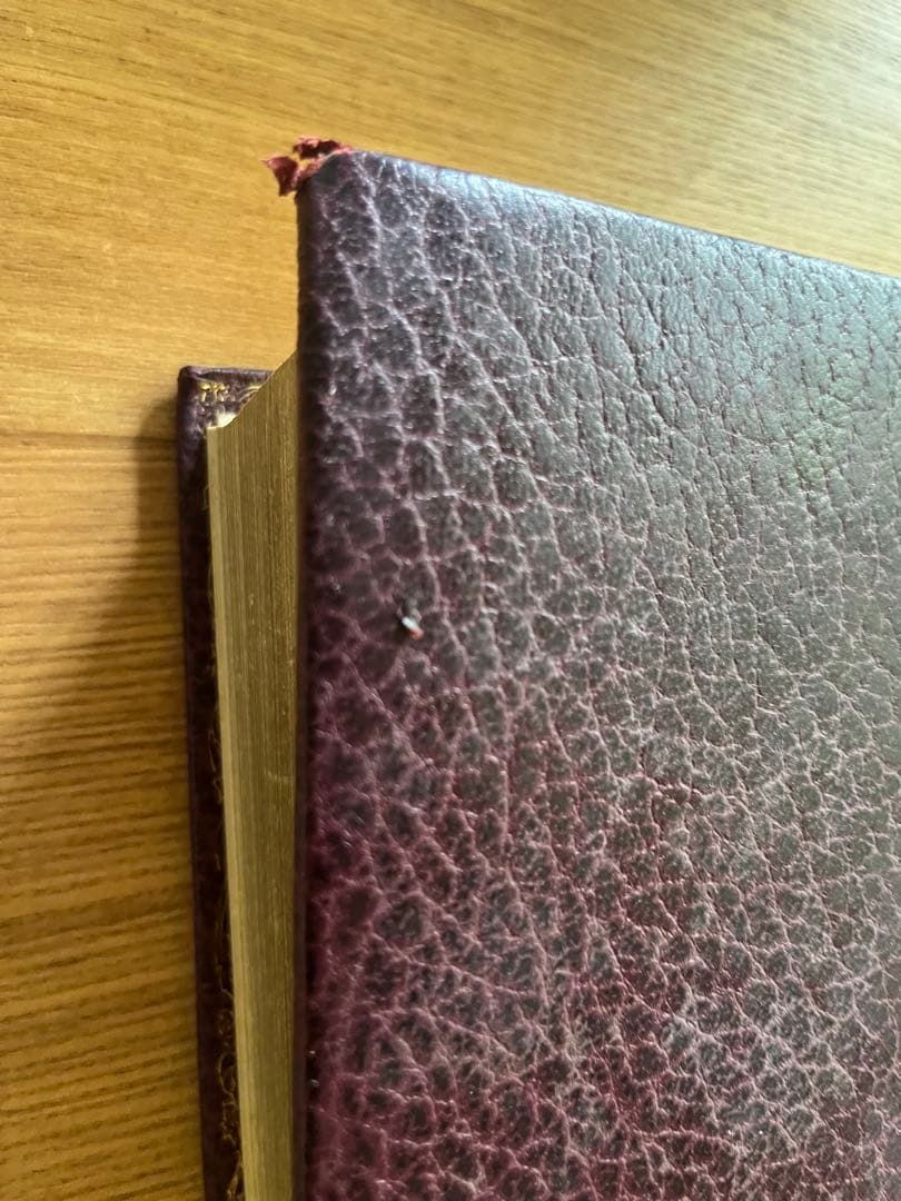 青*ン様 La Sacra Bibbia 聖書　(イタリア語版)