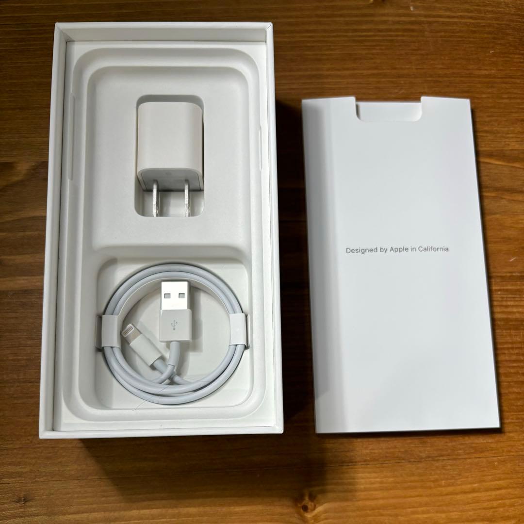 iPhone X 256GB SIMフリー【箱・純正充電器・ケース付き】