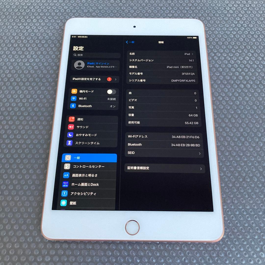 2581 電池最良好☆iPad mini5 第5世代 64GB WIFIモデル☆