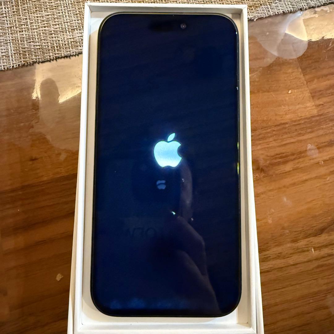 Apple iPhone 15Pro 512GB ジャンク品 水濡れあり