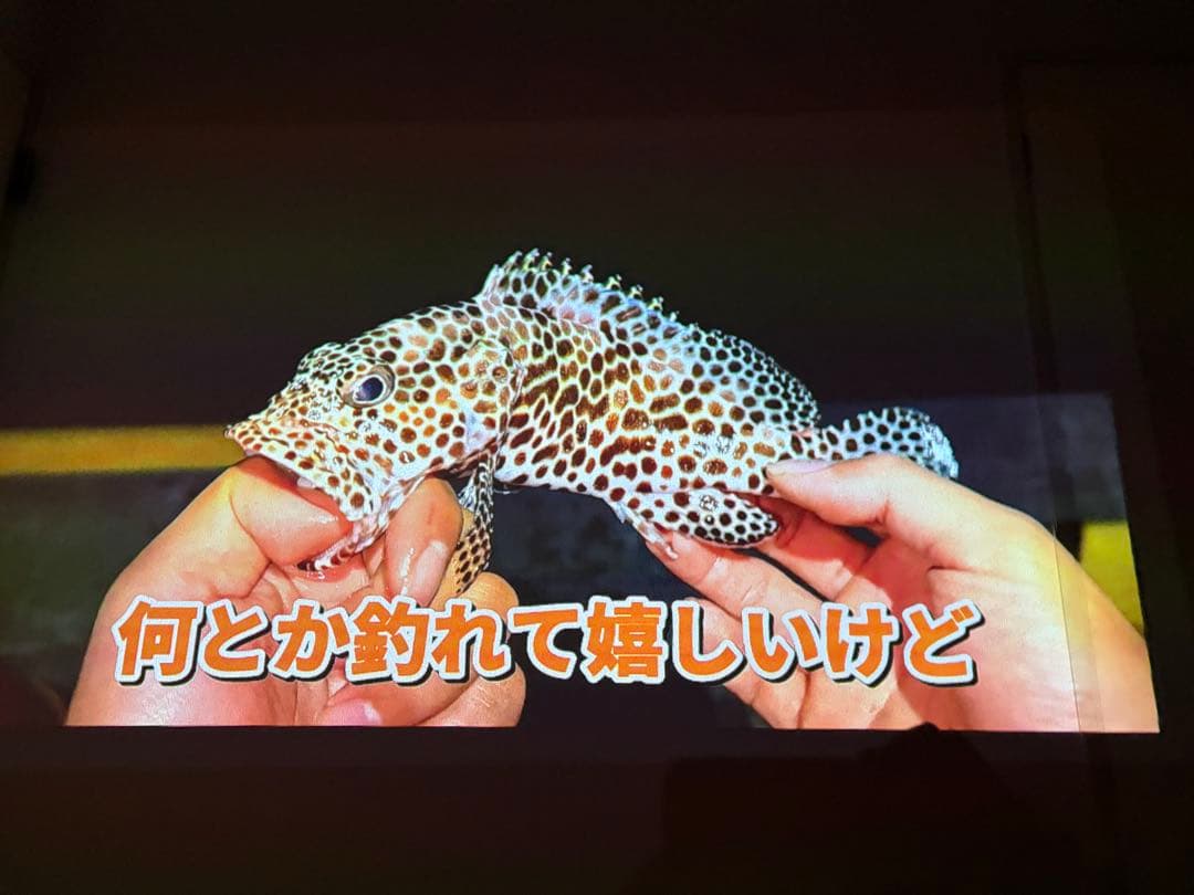 プロジェクター XGIMI mogo pro plus